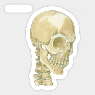 Skull Sticker